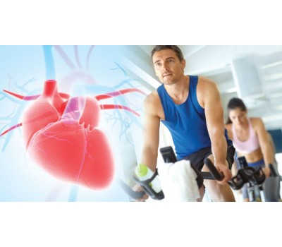 CoQ10 Reduces Heart Failure Deaths